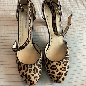 Adrienne Vittadini in Tan-HC